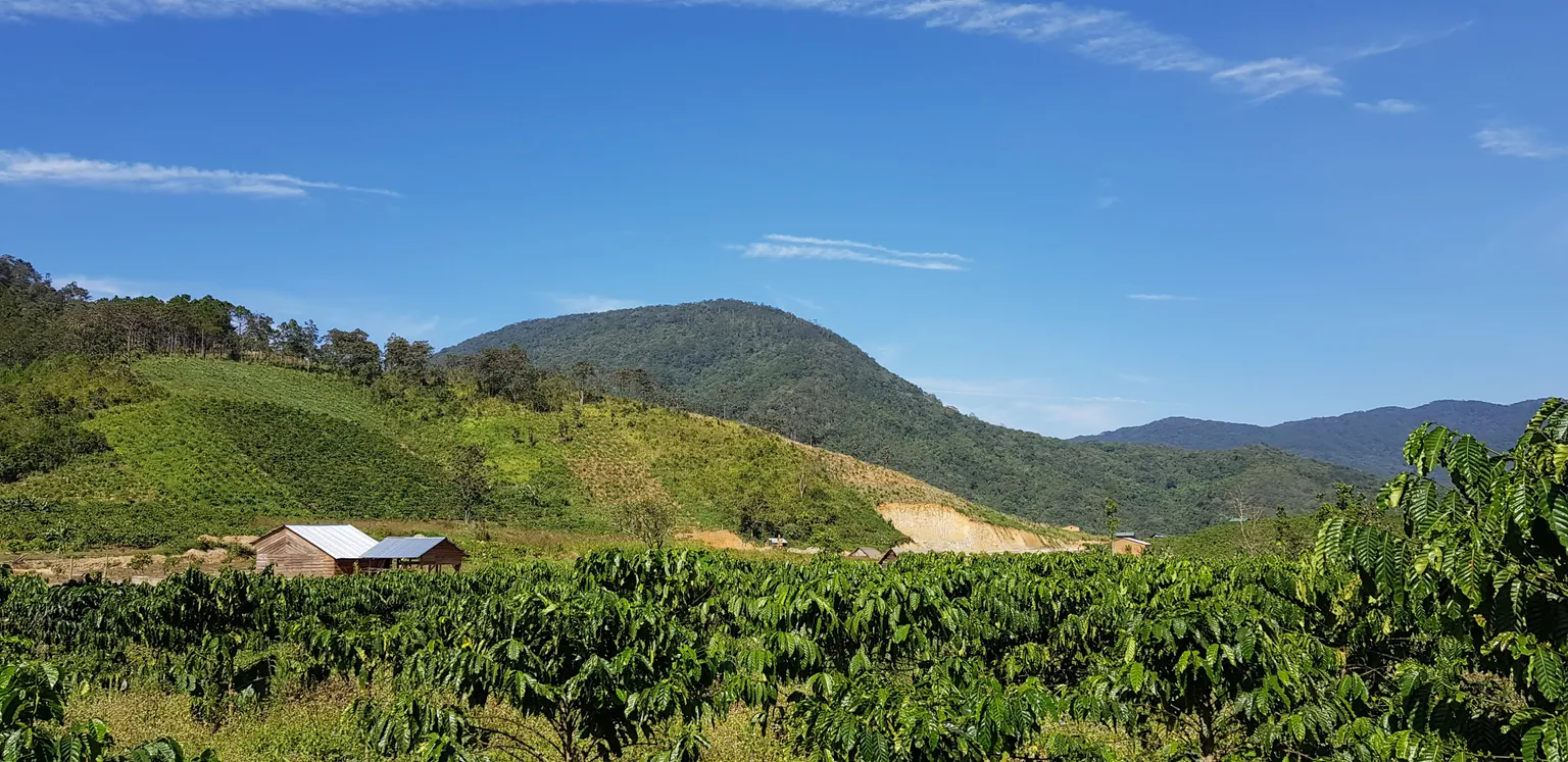 SNV signs cross-sector MOU for deforestation-free landscapes in Vietnam