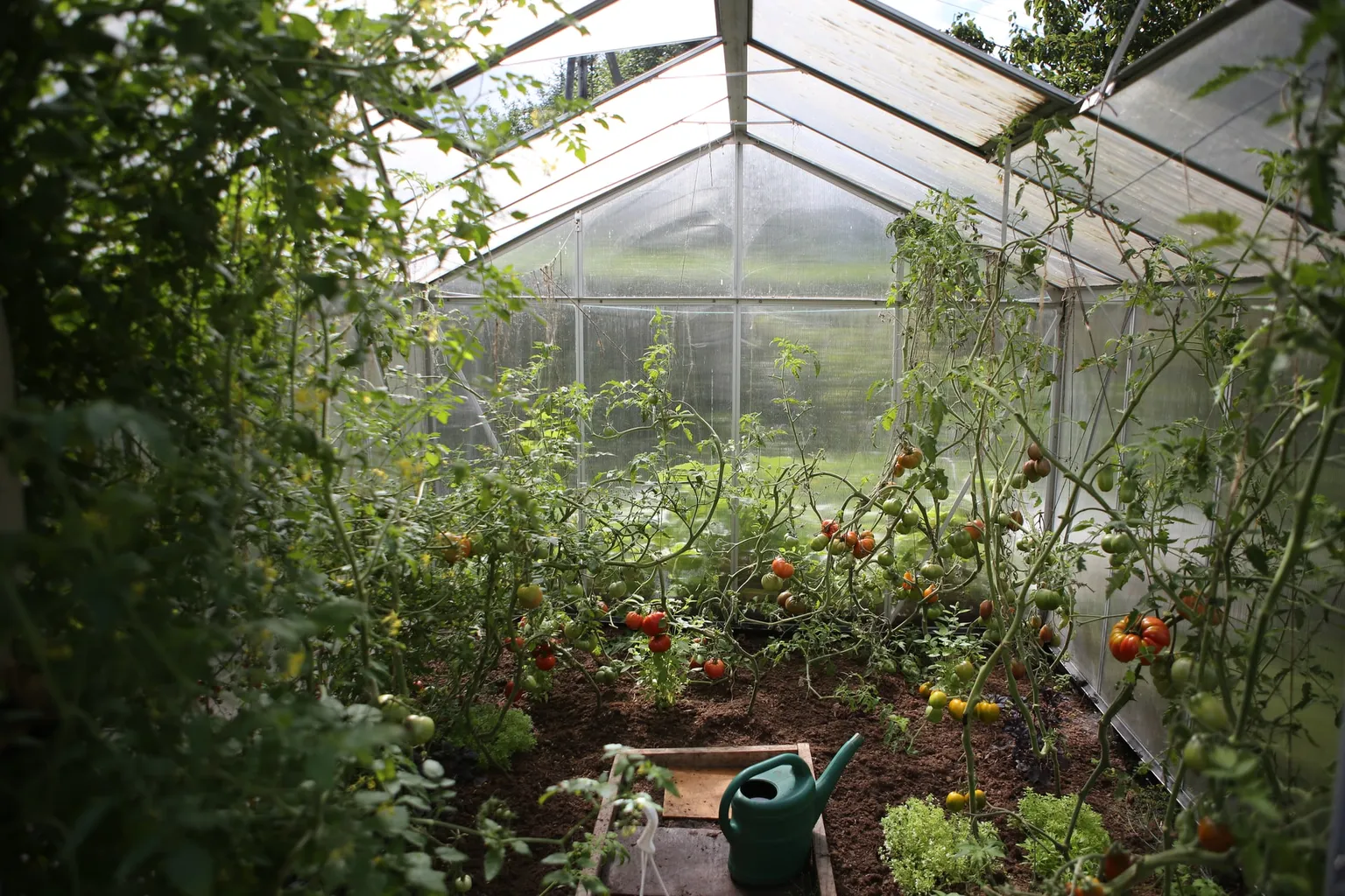 Blog banner image