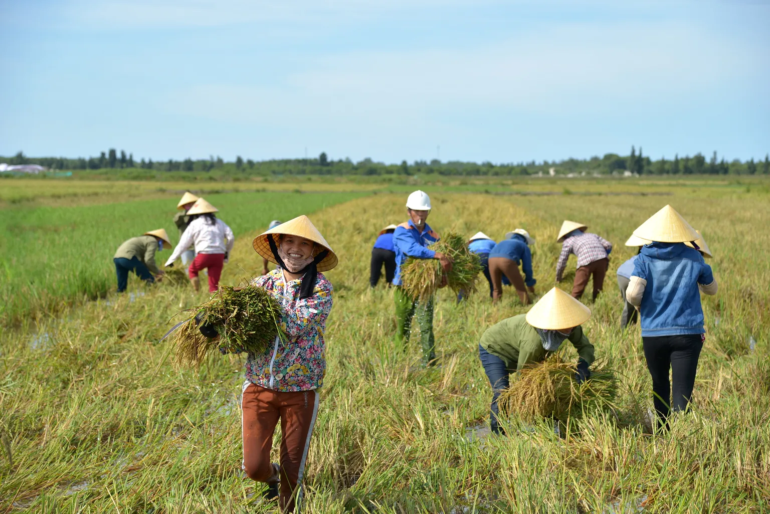EOWE programme launches gender-responsive inclusive business package in Vietnam