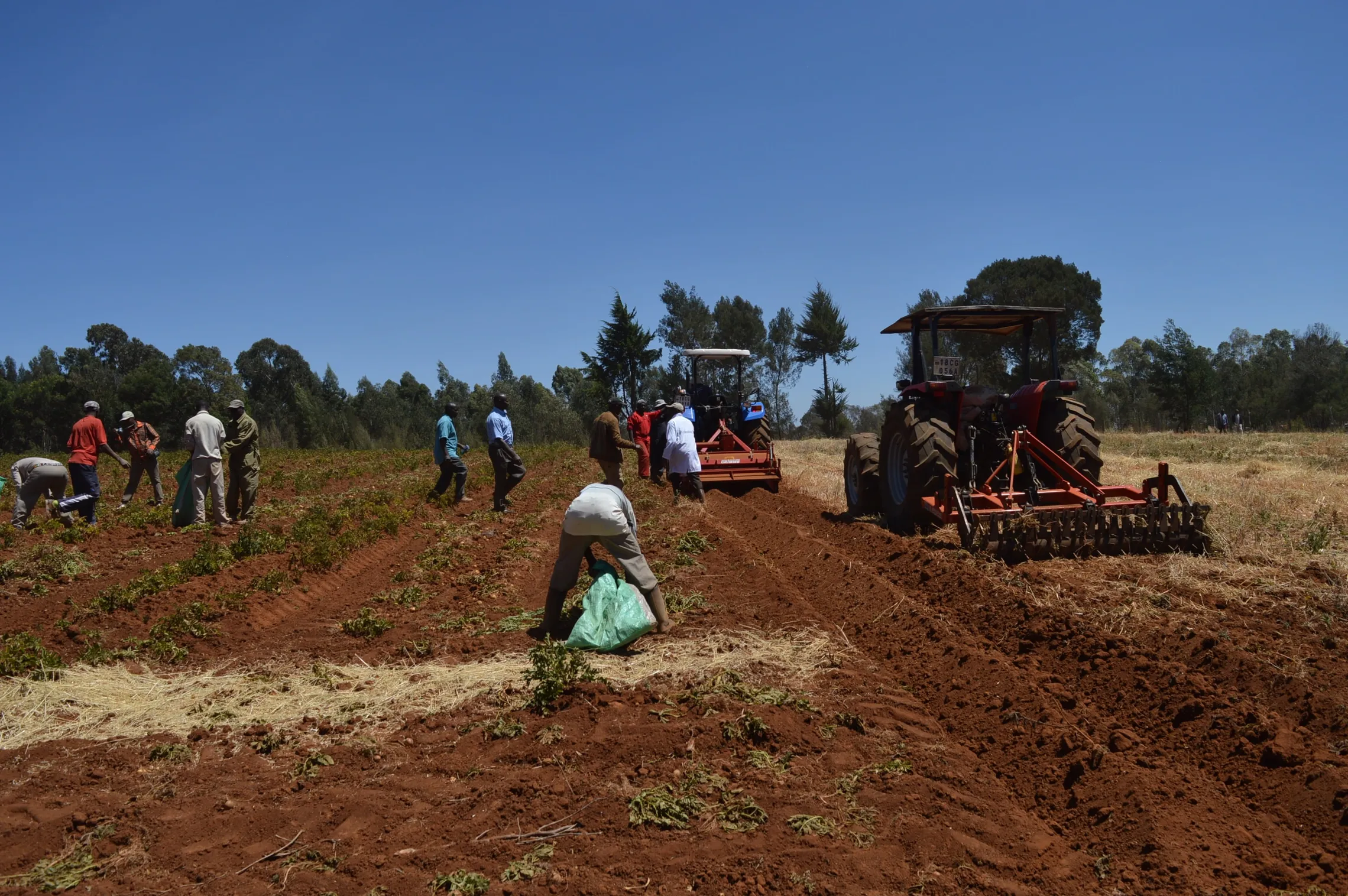 Nyandarua farmers participating in the mechanised demonstration