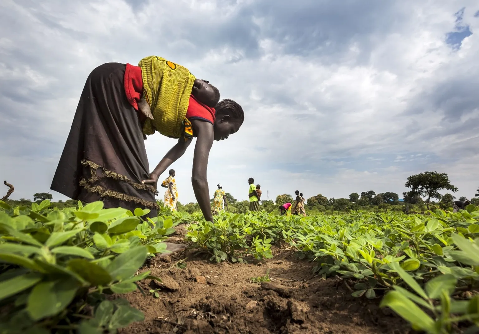 Woman working in field