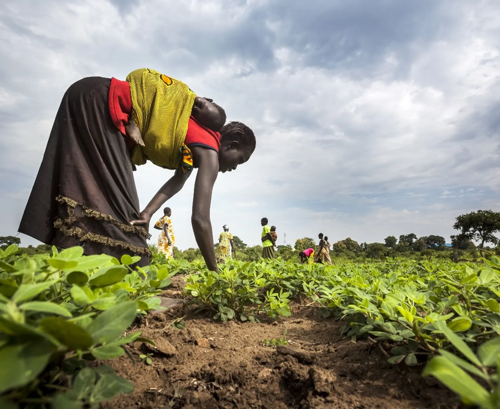 Woman working in field