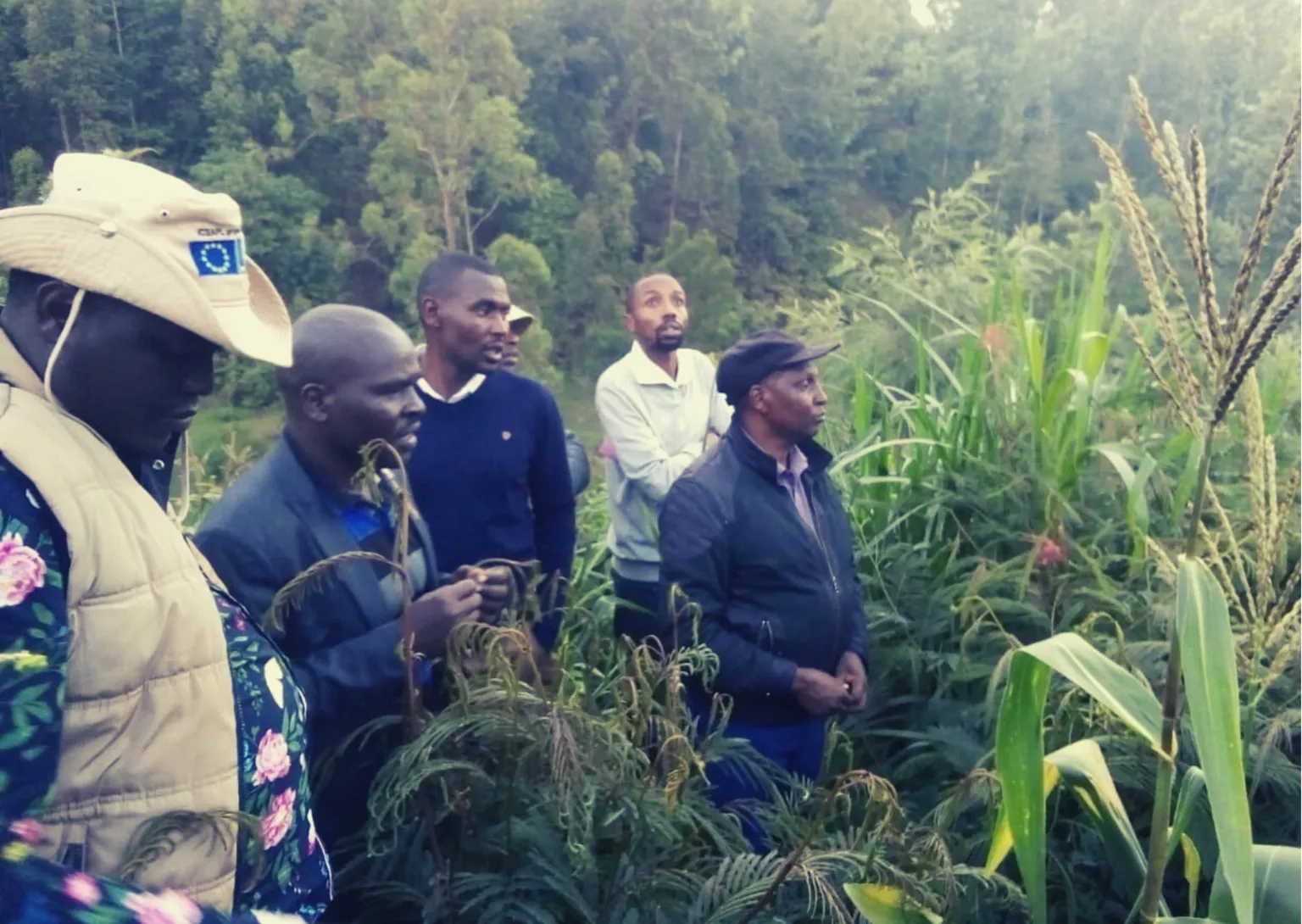 A photo of farmers attending a training