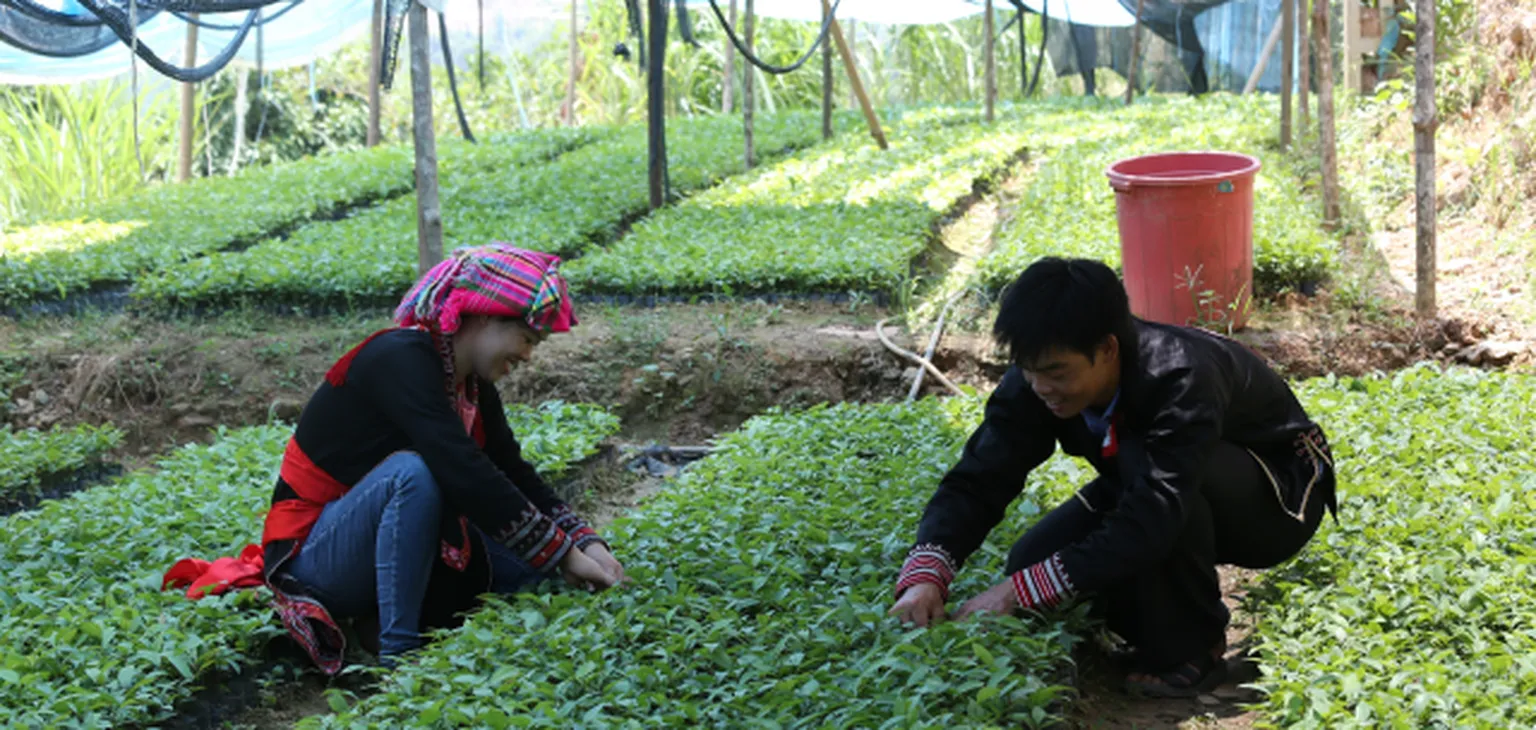 Pressing for progress towards gender equality in agricultural value chains