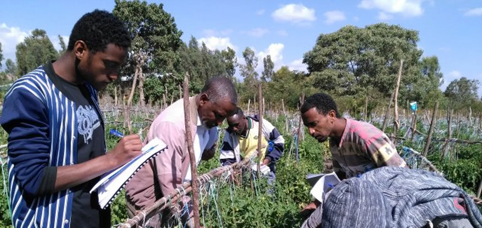 Horticulture farmers are adapting new technologies