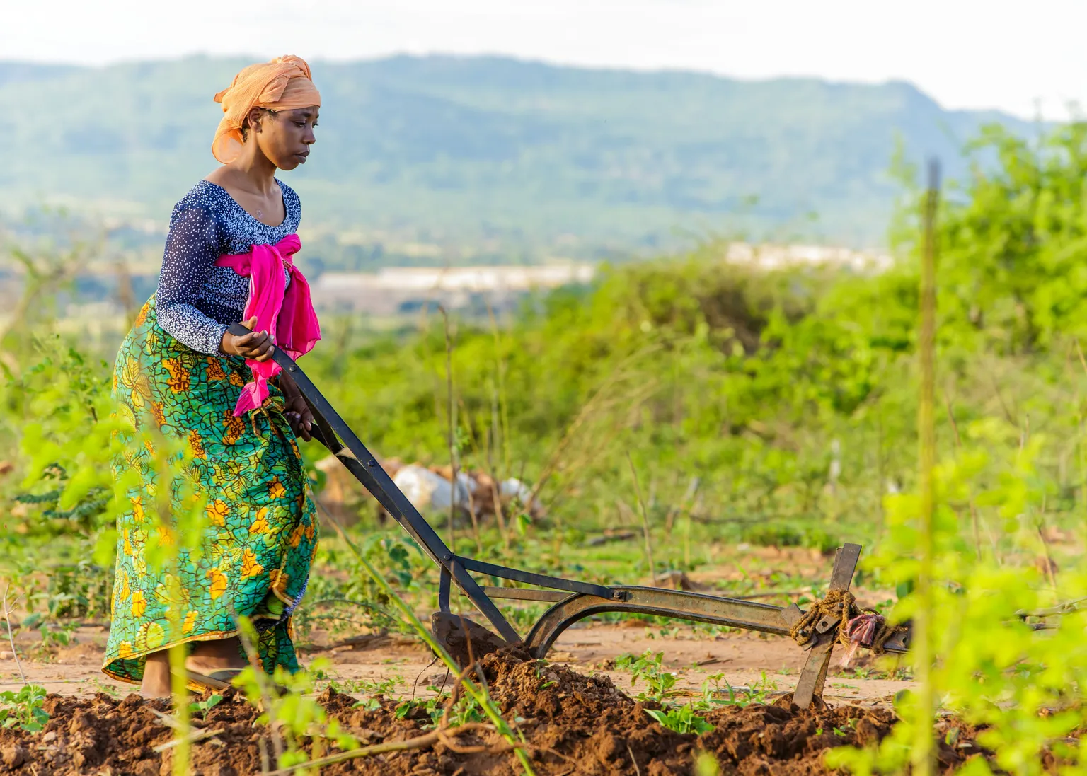 Woman working on a farm