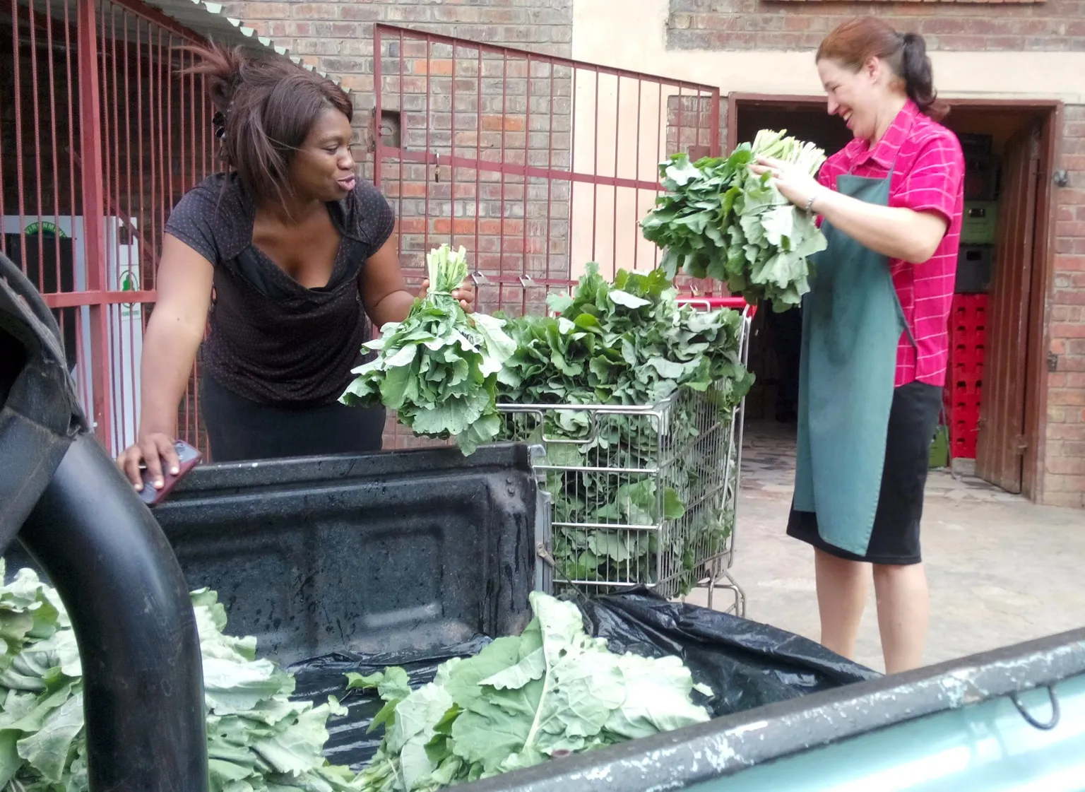 The organic approach taking farmers to new markets