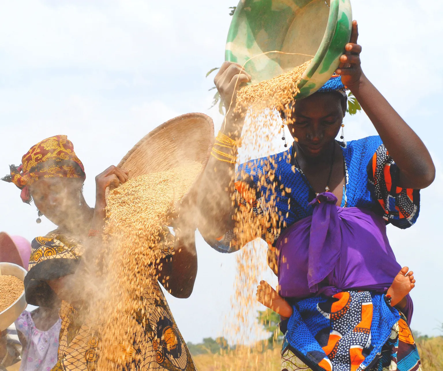 Two women in yellow and purple clothes throw seeds out of their baskets