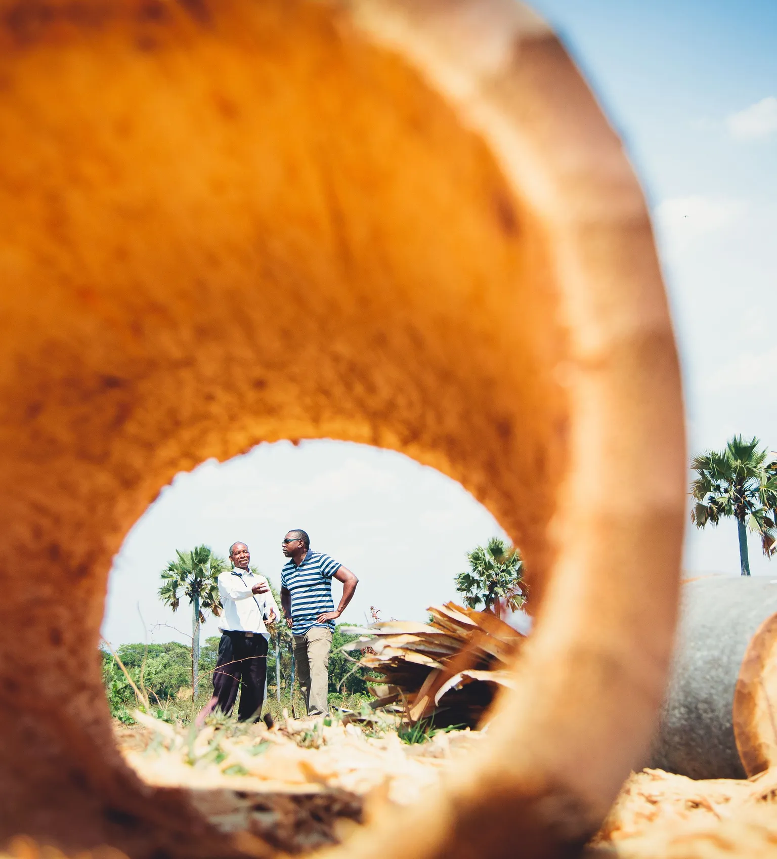 Africa Trade Fund approves funding for SNV to implement new apiculture project in Zambia